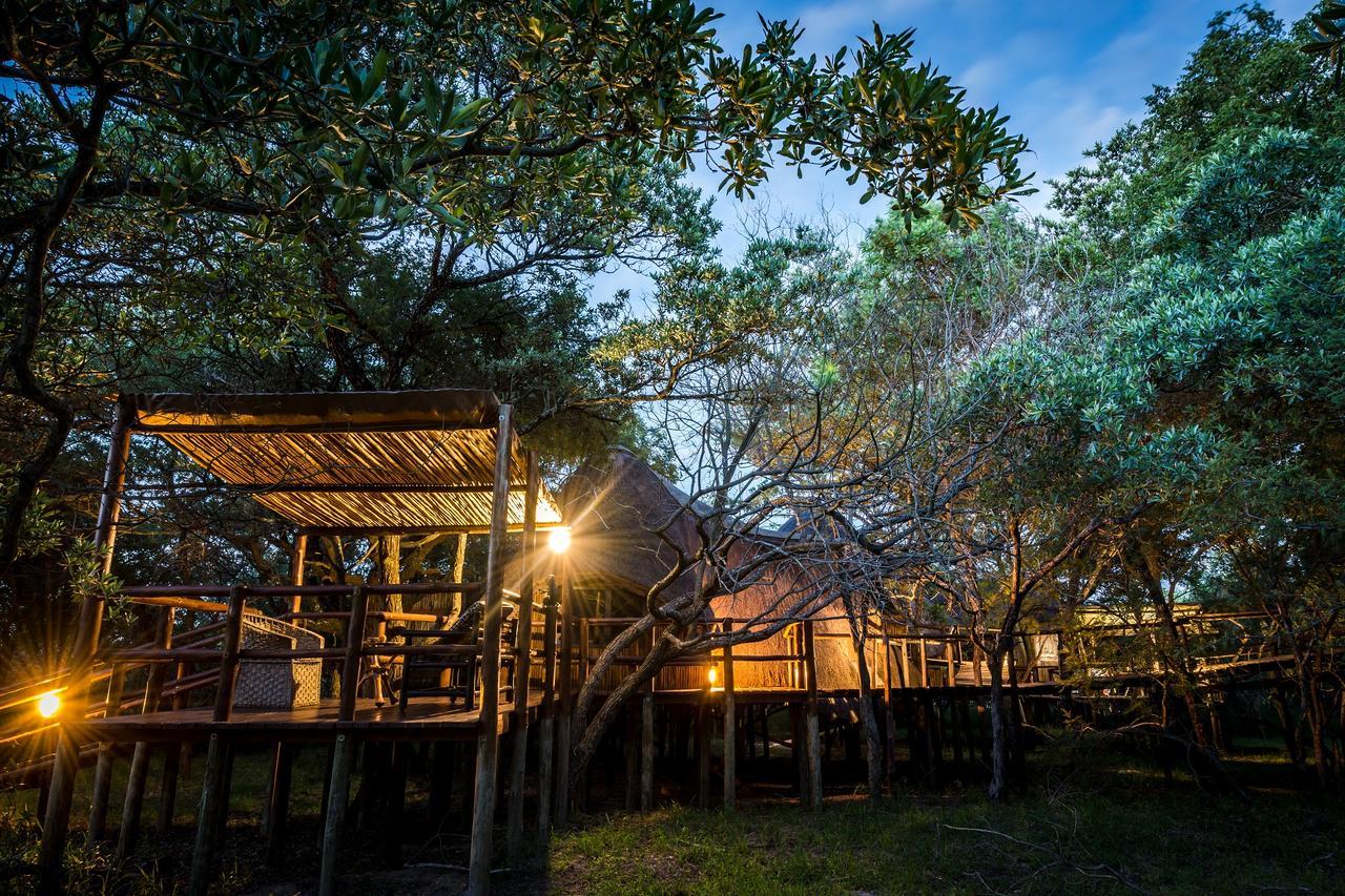 Pezulu Tree House Lodge Hoedspruit Exterior foto