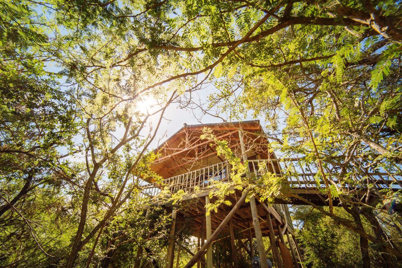 Pezulu Tree House Lodge Hoedspruit Exterior foto