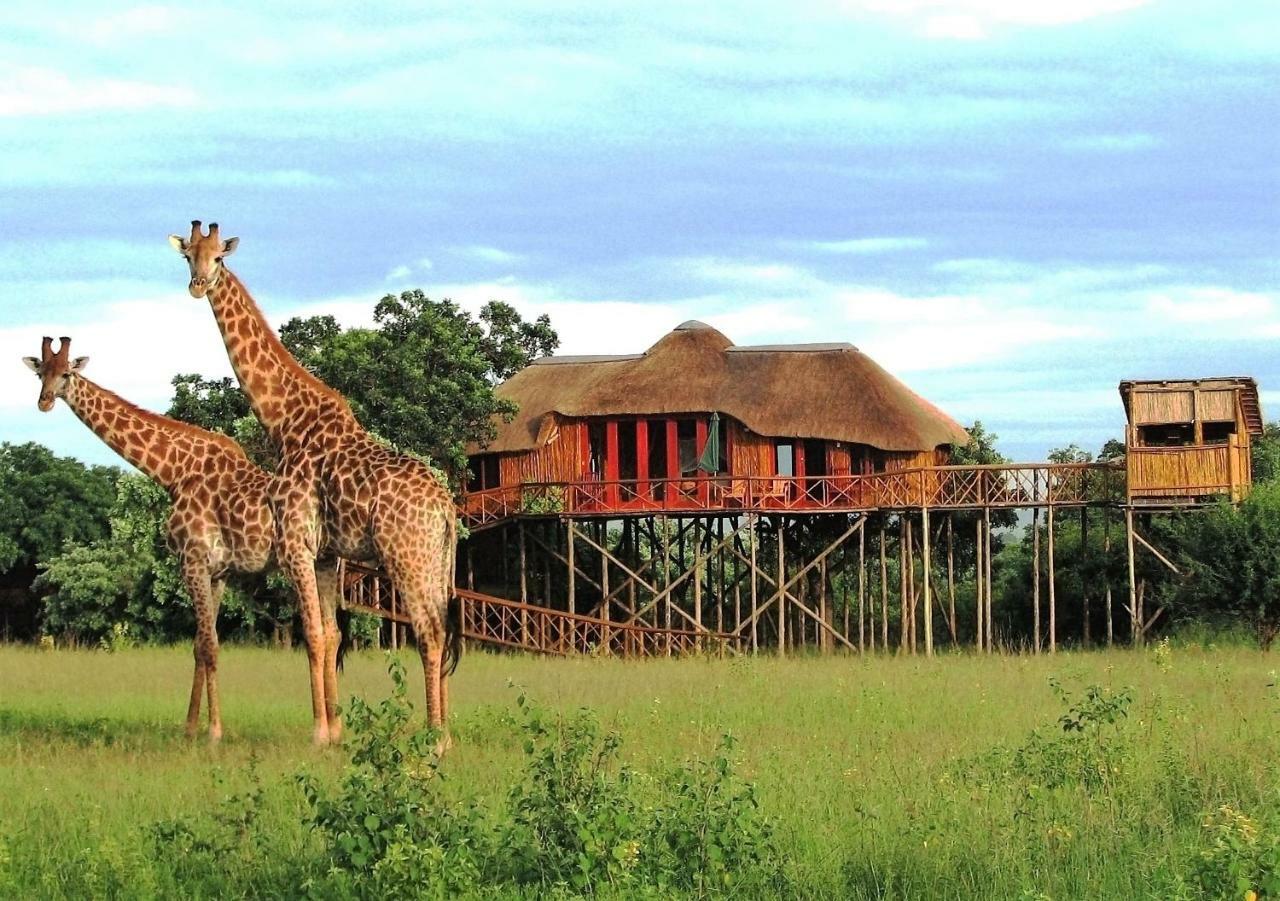 Pezulu Tree House Lodge Hoedspruit Exterior foto