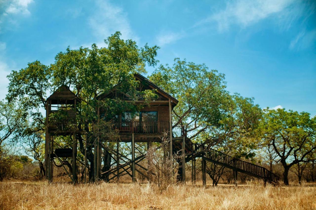 Pezulu Tree House Lodge Hoedspruit Exterior foto