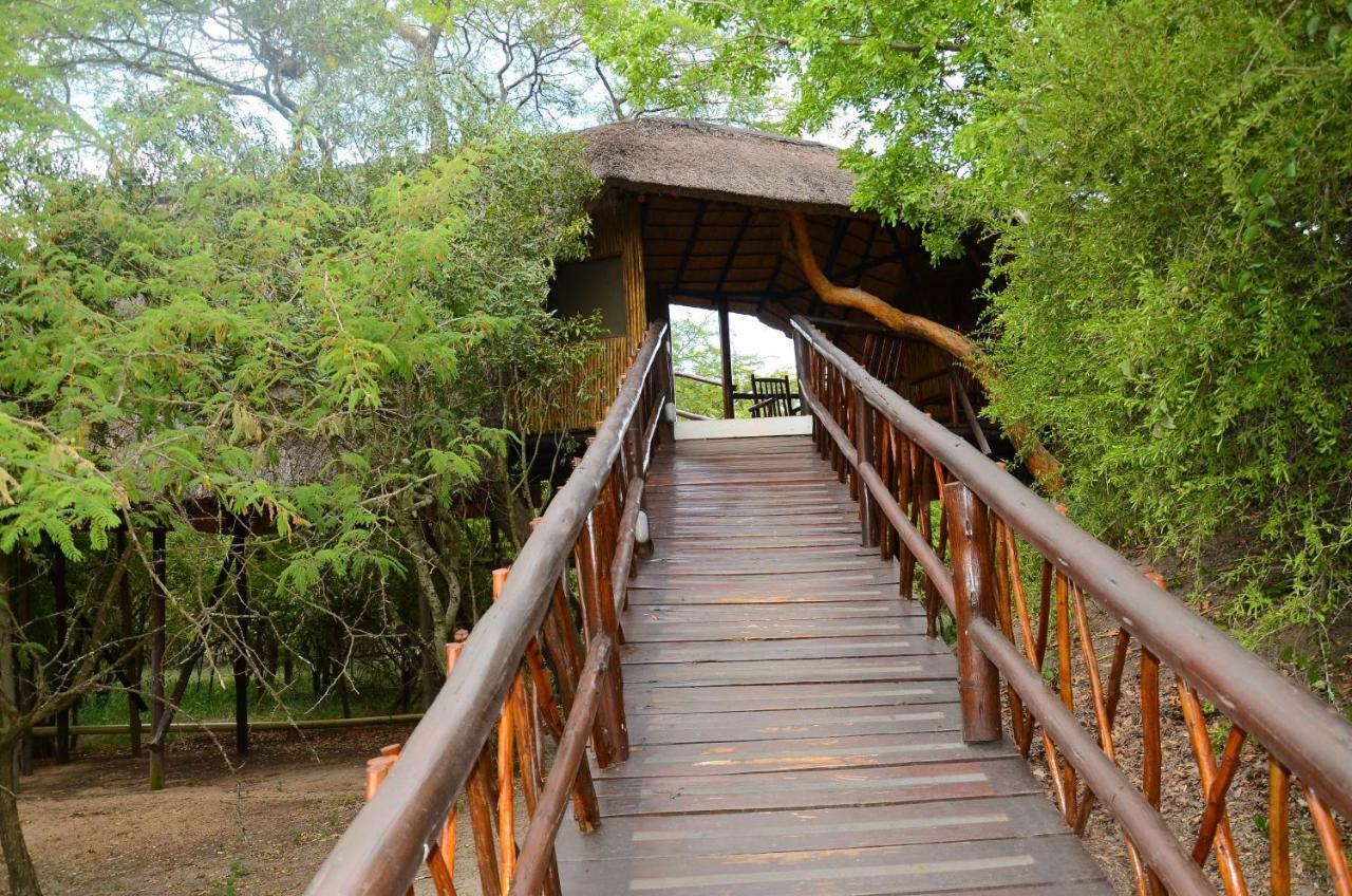 Pezulu Tree House Lodge Hoedspruit Exterior foto