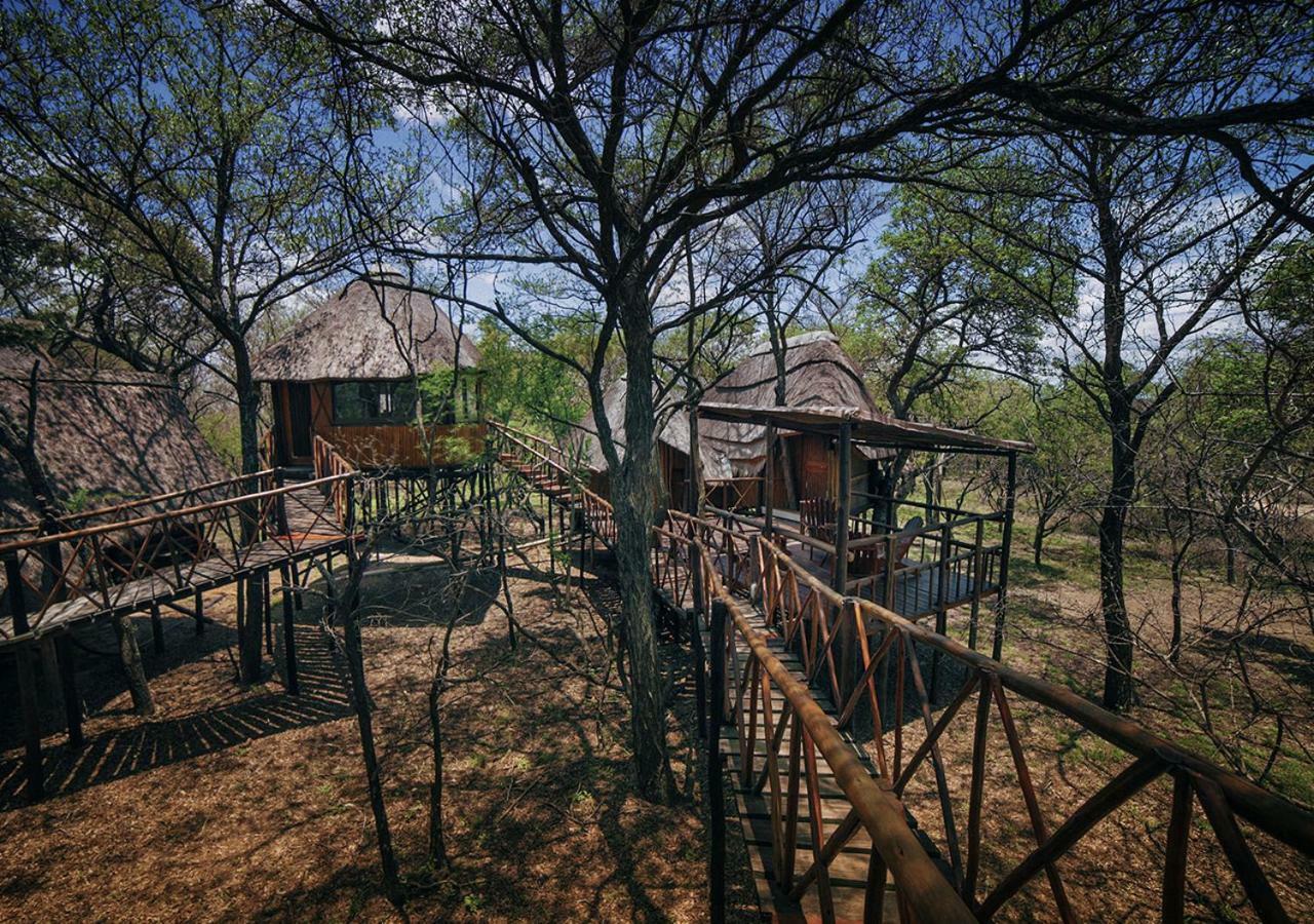 Pezulu Tree House Lodge Hoedspruit Exterior foto